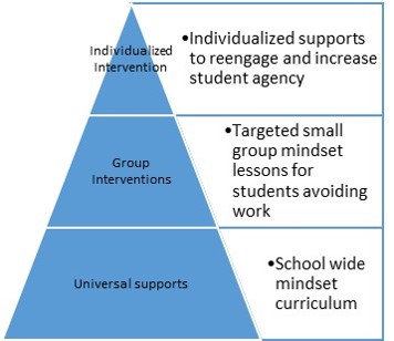 PBIS model