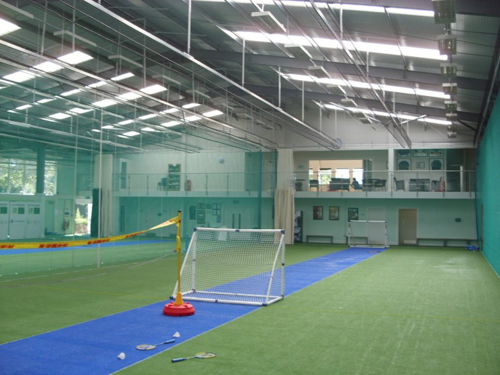 cricket training mindset works briceno firth