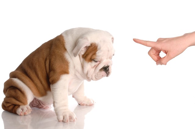 The End of Classroom Management Issues
