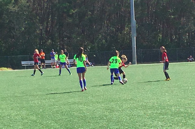 Put Me In Coach! Growth Mindset in the World of Sports