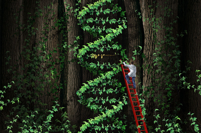 dna-leaves