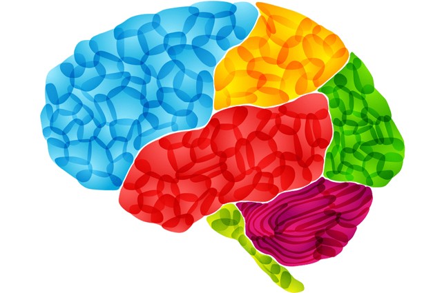 Improving Student Motivation, Attitudes, and Academic Achievement Through Social and Emotional Learning (SEL) Using Brainology