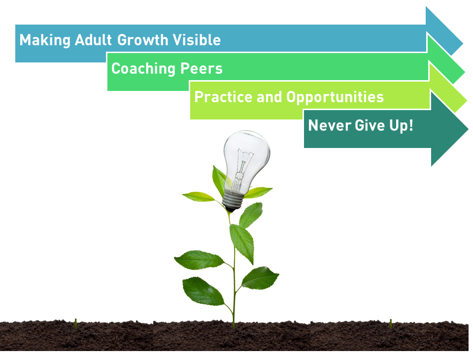Is Mindset Culture Shift Possible for Adults?