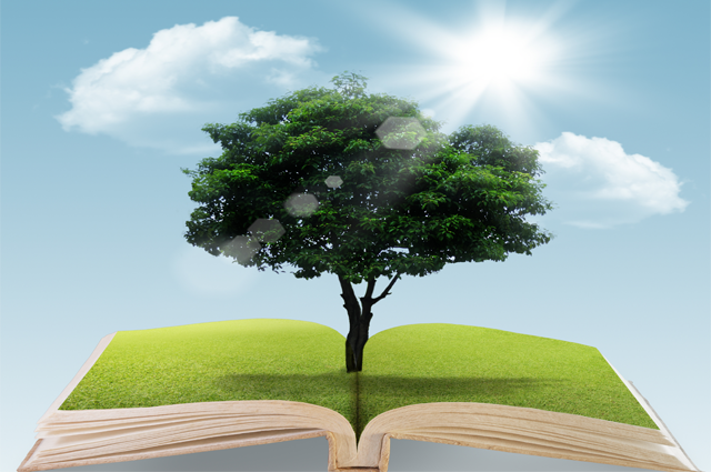 The Power of Mindset: Charles Patterson Middle School Earns Recognition as a Role Model School in Texas