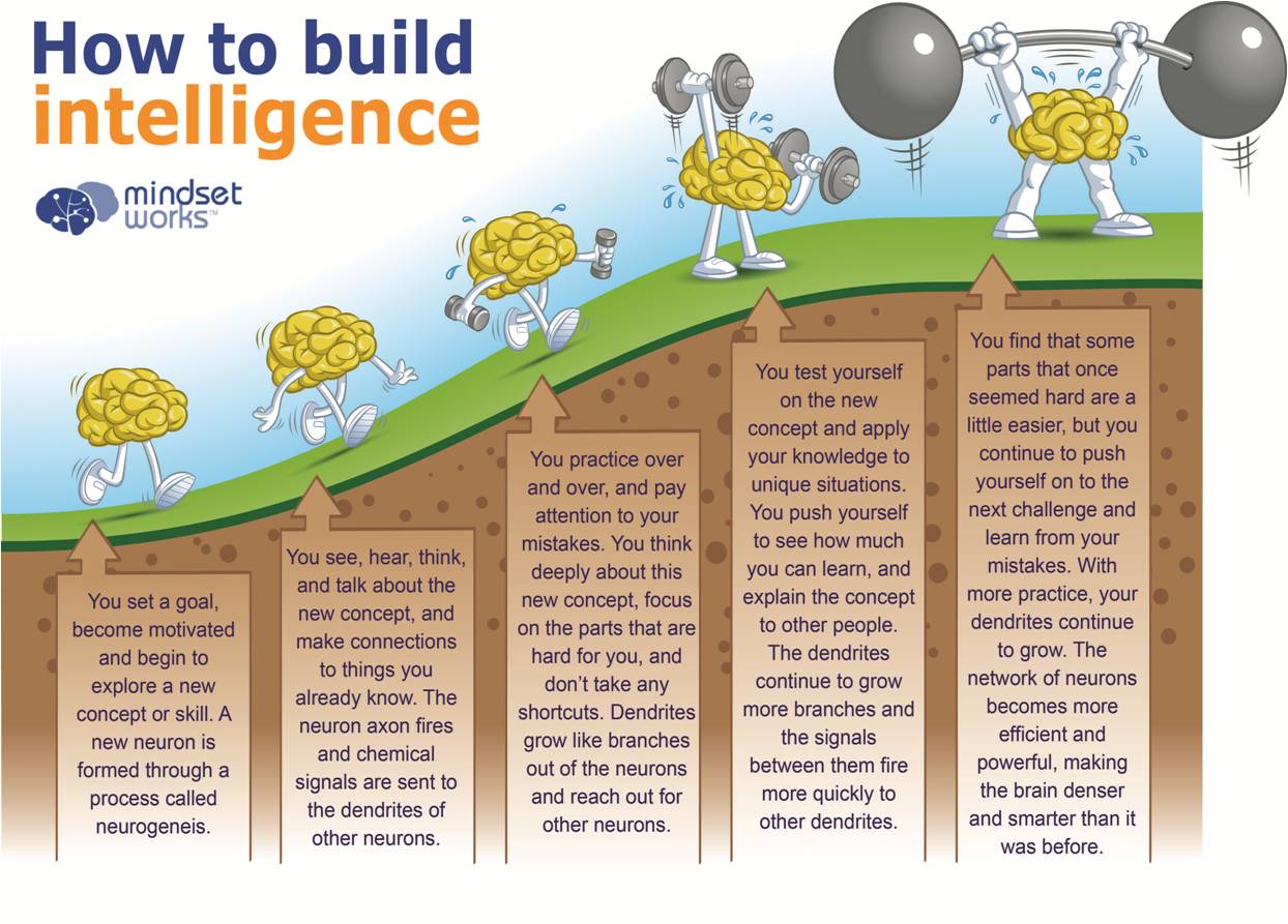 how to build intelligence